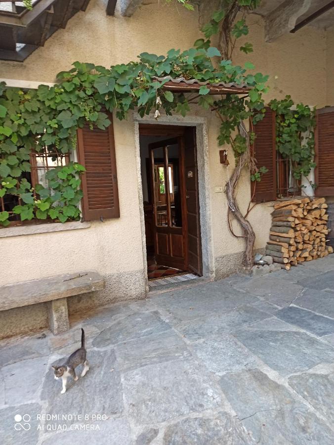 Апартаменти Casa Olmi Dependance Castiglione d'Intelvi Екстер'єр фото